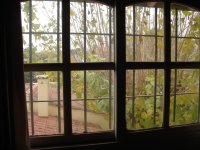 El invierno llegó 004.jpg