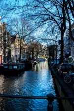 DSC_0242.jpg