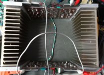 Quad 606 singing bird's eye.jpg