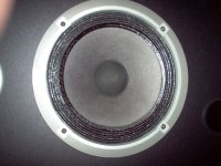 Sony 8 inch Bass.jpg