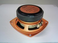 Fostex 8.jpg