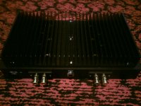 DSC00916.JPG