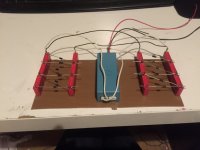 IMG_3065 (Medium).JPG
