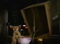 Bigger Box_Chihuahua_Taco Bell.jpg
