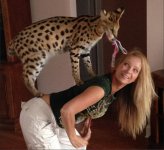 serval.jpg