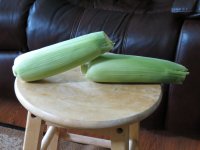 IMG_0645.jpg