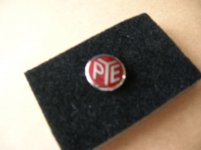 PYE Badge.jpg