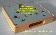 tubeamp_chassis-2.jpg