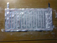 membrane A3 powdered.JPG