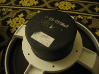 IMG_5949.jpg