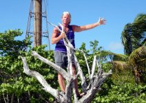 SanibelTree_x.jpg