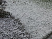 IMG_1151.jpg