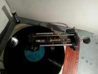 Top view.jpg