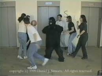 gorilla-experiment.png