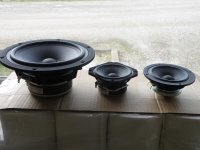 18W_TC9_10F.JPG