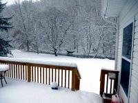 BackYard_x.jpg