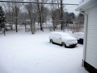 FrontYard_x.jpg