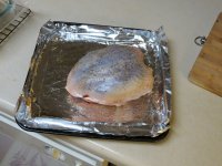 IMG_1013.jpg