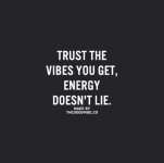 Trust-the-vibes-you-get_daily-quote.jpg Trust-the-vibes-you-get_daily-quote.jpg