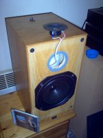 Modified BW3 Monitor Audio R300-MD.jpg