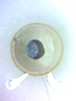 IMG0001A.jpg
