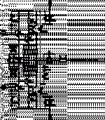 suplifier.gif