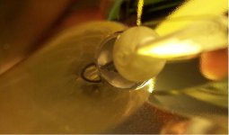 epson_bulb-close-up.jpg