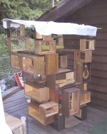 cathouse-2.jpg