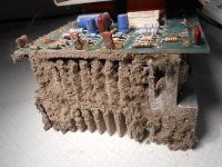 DSCN1255.jpg