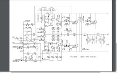 Class-D module ds300.jpg