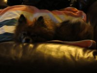 IMG_1094.jpg