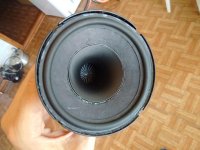 IMG_20150625_105047.jpg