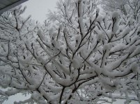 DSC02758.jpg