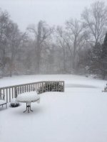 Snow Jan 23 2016.jpg