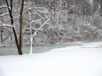 FrozenCreek_x.jpg