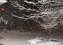 first snow 2015 - 2.JPG