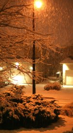 first snow 2015 - 1.JPG