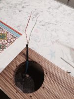cable 2.jpg