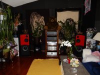 2016-02-29 21.29.40.jpg