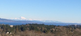 IMG_4379-1.JPG