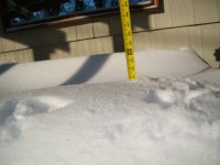 DSC02741.JPG