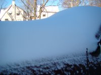 DSC02743.JPG