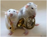 Funny-Mouse-18.jpg
