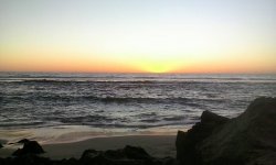 yanchep - lagoon.jpg