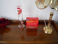 DSCN0479.JPG