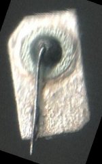 transistor junction.jpg