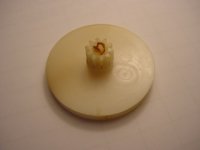 dsc00078.jpg