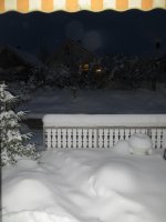 IMG_3204.jpg