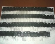 IMG0491A.jpg