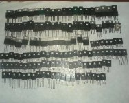IMG0507A.jpg